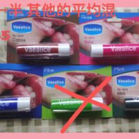 tarrito vaselina vaealice wh 8815
